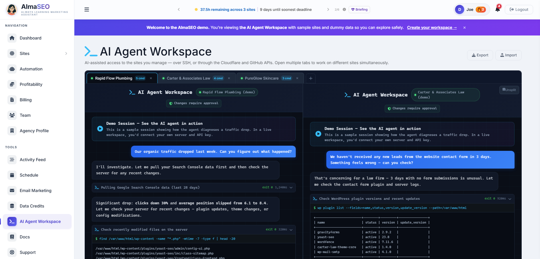 The AI Agent Workspace connected to a client site