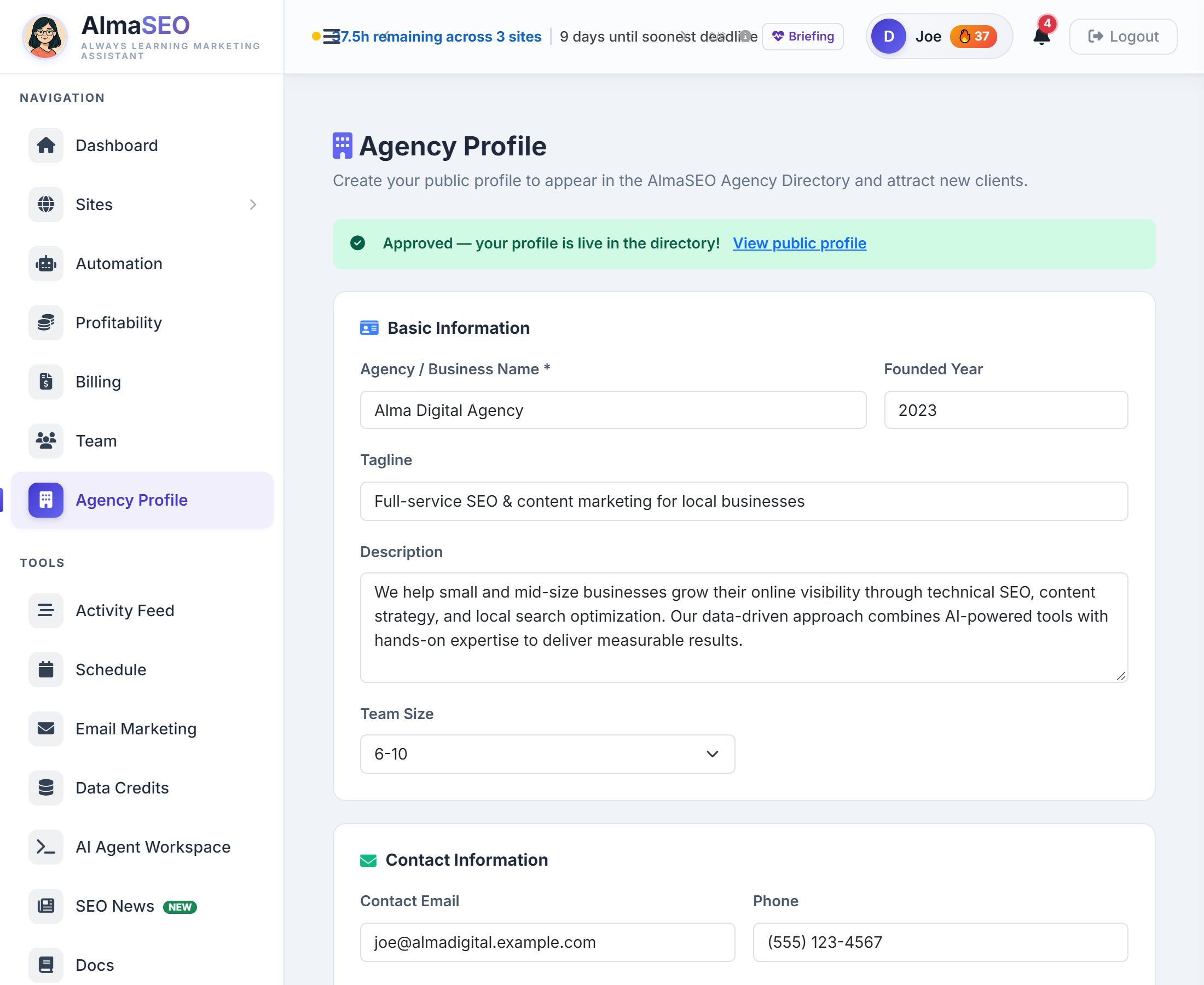 The Agency Profile editor with Basic Information filled in for Alma Digital Agency: name, founded year, tagline, description and team size, and Contact Information below.