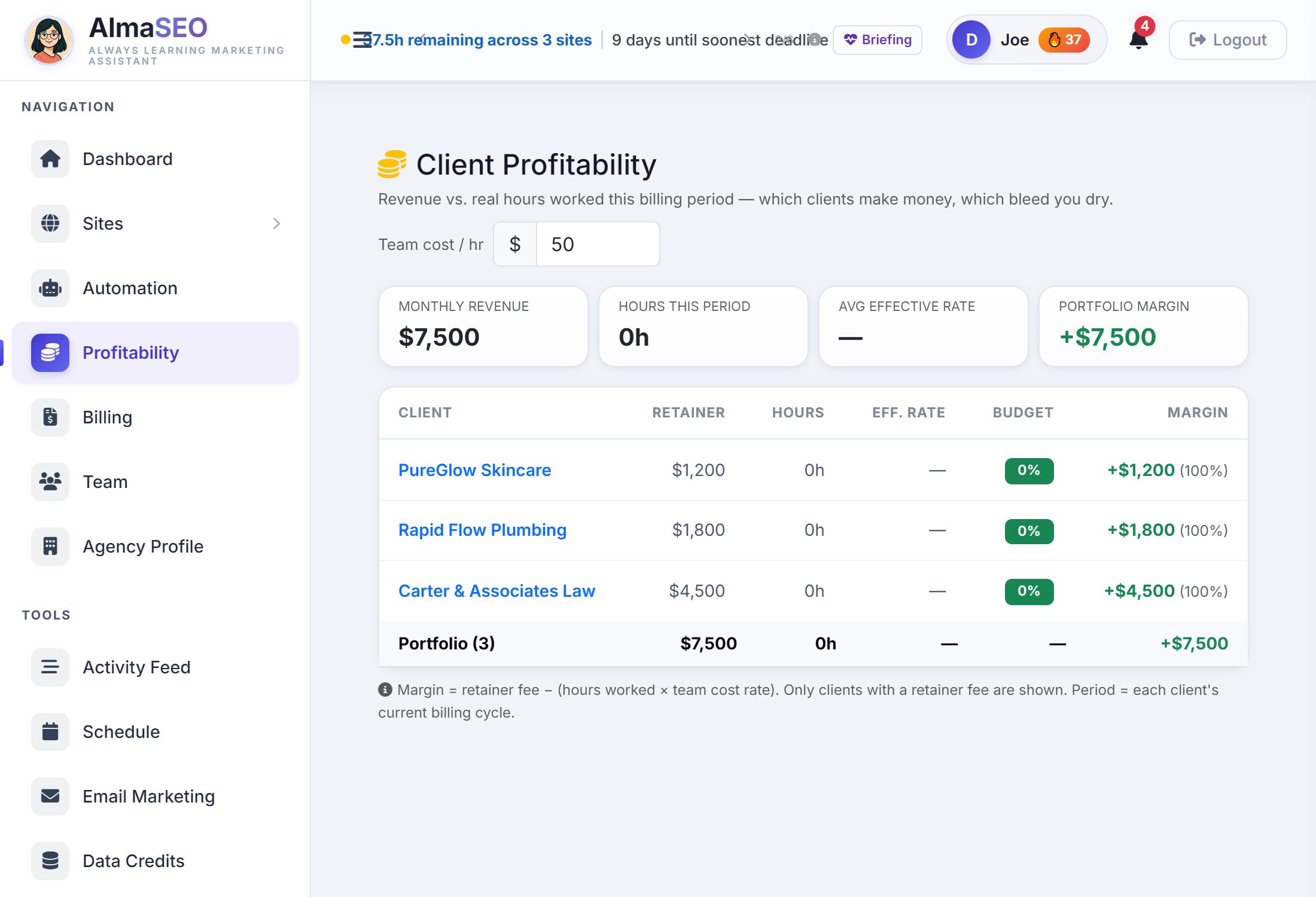 The Client Profitability page on the demo account: the team cost input, four summary cards and the client table.
