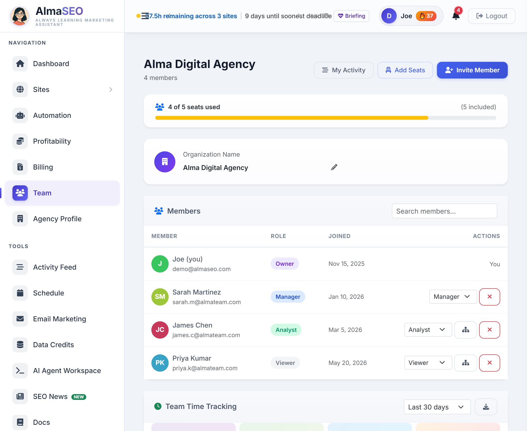 The Team page on the demo account: the agency name, My Activity and Invite Member buttons, the organization name card and a members table with an owner, a manager, an analyst and a viewer.